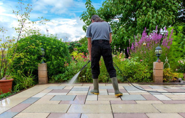 Best Animal Enclosure Cleaning  in Payson, AZ